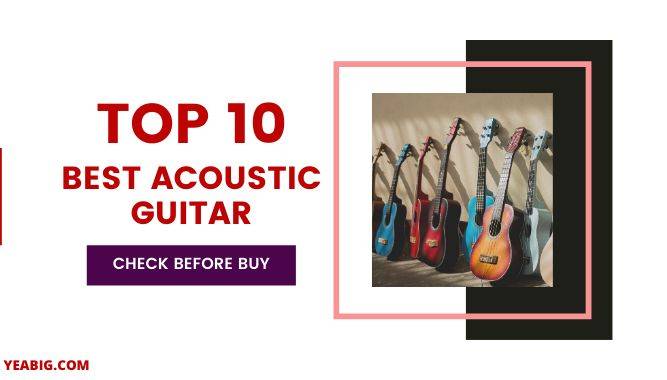 Top 10 Best Acoustic Guitar