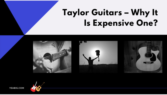 Taylor Guitars -Why It Is Expensive One?