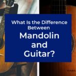 What Is the Difference Between A Mandolin and A Guitar?