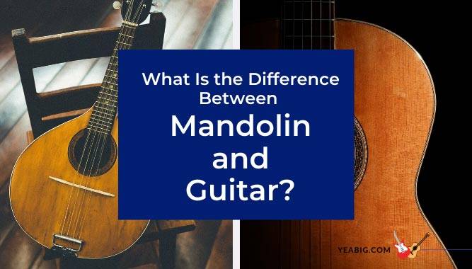 What Is the Difference Between A Mandolin and A Guitar?