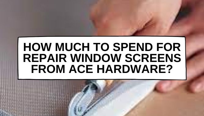 How Much to Spend for Repair Window Screens From Ace Hardware?