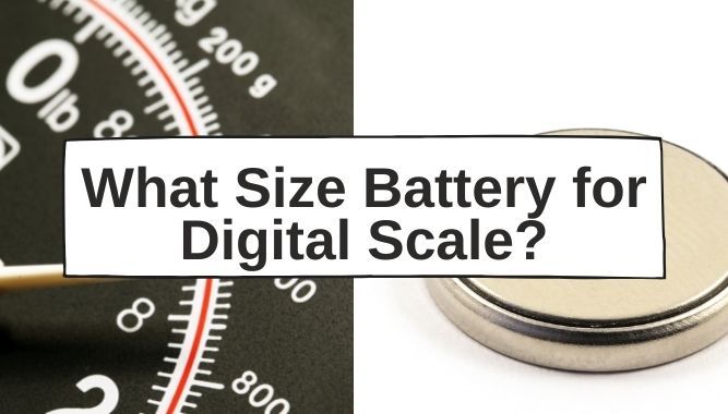 What Size Battery for Digital Scale?