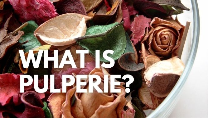 What is Pulperie?