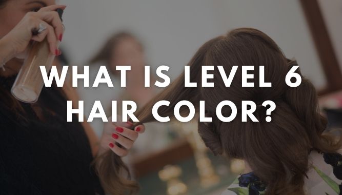 What is Level 6 Hair Color?